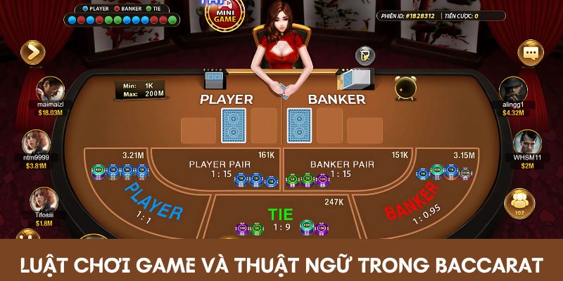 Luat choi game va thuat ngu trong Baccarat